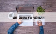 猫藓（猫藓会不会传染给人）