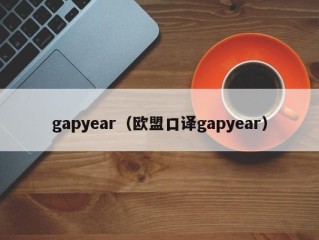 gapyear（欧盟口译gapyear）