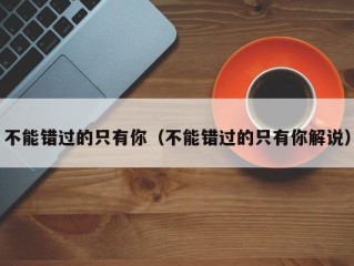 不能错过的只有你（不能错过的只有你解说）