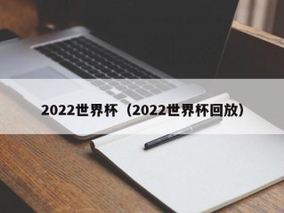 2022世界杯（2022世界杯回放）