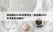 清宫图2023年生男生女（清宫图2023年生男生女图片）