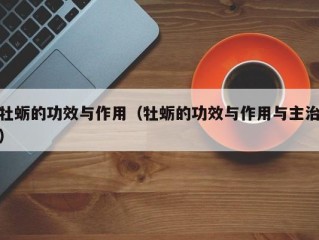 牡蛎的功效与作用（牡蛎的功效与作用与主治）