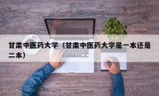 甘肃中医药大学（甘肃中医药大学是一本还是二本）