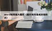 word如何插入图片（图片如何变成文档形式）