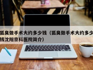 狐臭做手术大约多少钱（狐臭做手术大约多少钱沈阳京科医院简介）