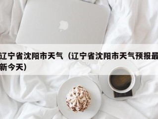辽宁省沈阳市天气（辽宁省沈阳市天气预报最新今天）