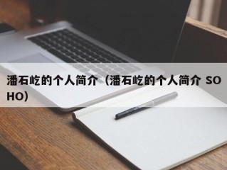 潘石屹的个人简介（潘石屹的个人简介 SOHO）