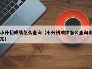 小升初成绩怎么查询（小升初成绩怎么查询山东）