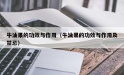 牛油果的功效与作用（牛油果的功效与作用及禁忌）
