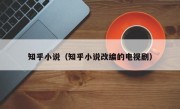 知乎小说（知乎小说改编的电视剧）