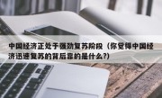 中国经济正处于强劲复苏阶段（你觉得中国经济迅速复苏的背后靠的是什么?）