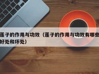 莲子的作用与功效（莲子的作用与功效有哪些好处和坏处）