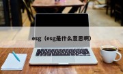 esg（esg是什么意思啊）