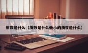 质数是什么（质数是什么最小的质数是什么）