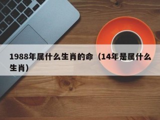 1988年属什么生肖的命（14年是属什么生肖）