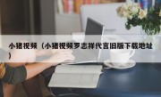 小猪视频（小猪视频罗志祥代言旧版下载地址）