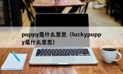 puppy是什么意思（luckypuppy是什么意思）