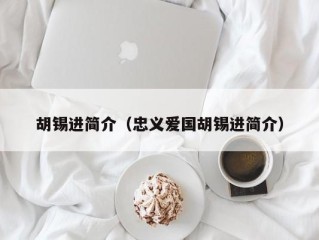 胡锡进简介（忠义爱国胡锡进简介）