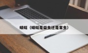 蜻蜓（蜻蜓是益虫还是害虫）