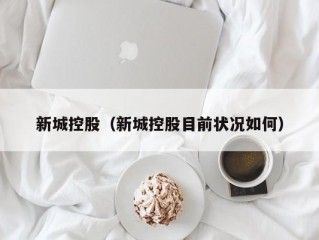 新城控股（新城控股目前状况如何）