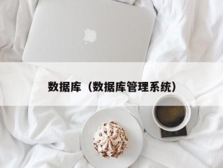 数据库（数据库管理系统）