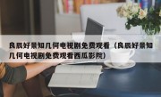 良辰好景知几何电视剧免费观看（良辰好景知几何电视剧免费观看西瓜影院）