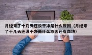 月经来了十几天还没干净是什么原因（月经来了十几天还没干净是什么原因还有血块）