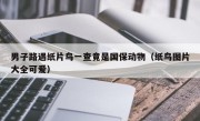 男子路遇纸片鸟一查竟是国保动物（纸鸟图片大全可爱）
