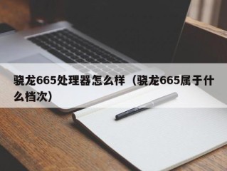 骁龙665处理器怎么样（骁龙665属于什么档次）
