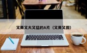 又黄又大又猛的A片（又黄又圆）