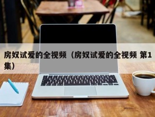 房奴试爱的全视频（房奴试爱的全视频 第1集）