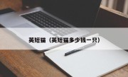 英短猫（英短猫多少钱一只）