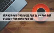桑黄的功效与作用的功能与主治（长白山桑黄的功效与作用的功能与主治）