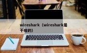 wireshark（wireshark是干啥的）