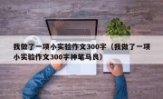 我做了一项小实验作文300字（我做了一项小实验作文300字神笔马良）