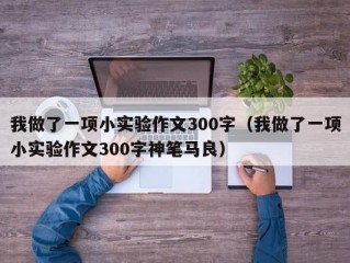 我做了一项小实验作文300字（我做了一项小实验作文300字神笔马良）